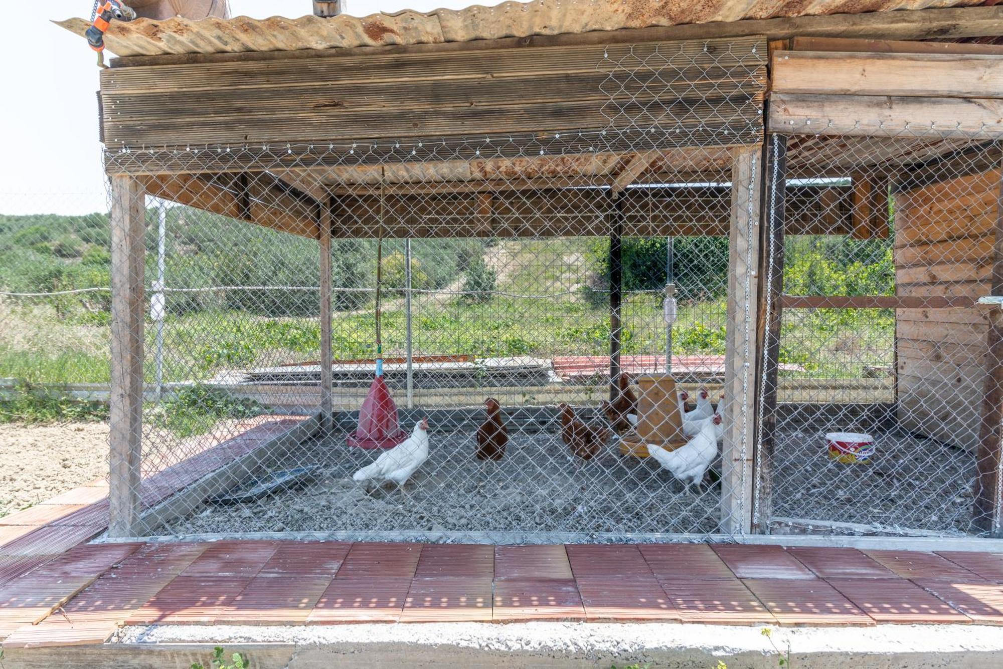 Countryhouse Villa With Pool & Private Parking Heraklion Zewnętrze zdjęcie